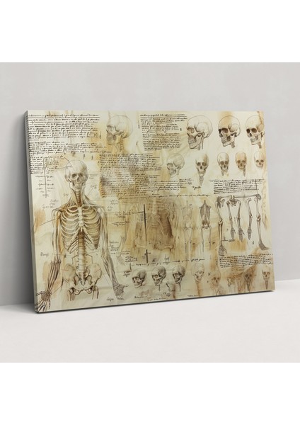 Leonardo Da Vinci Insan Anatomisi Kanvas Tablo - Leonardo Da Vinci, Ev Dekorasyonu, Duvar Sanatı, Kanvas Tablo, 90X60