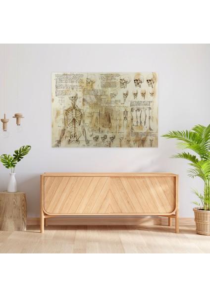 Leonardo Da Vinci Insan Anatomisi Kanvas Tablo - Leonardo Da Vinci, Ev Dekorasyonu, Duvar Sanatı, Kanvas Tablo, 90X60 modelleri