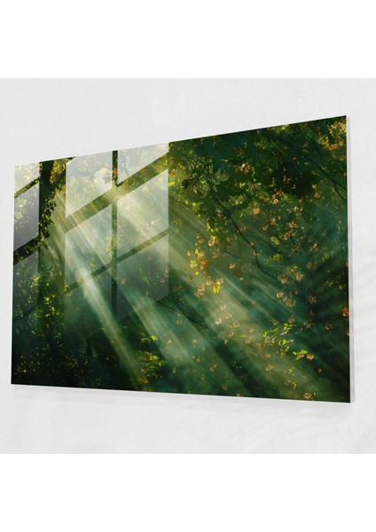 Claude Monet Cam Baskı Ağaçların Arasından Güneş Işığı - Claude Monet, Cam Duvar Sanatı, Cam Sanatı, Modern Sanat, 45X30