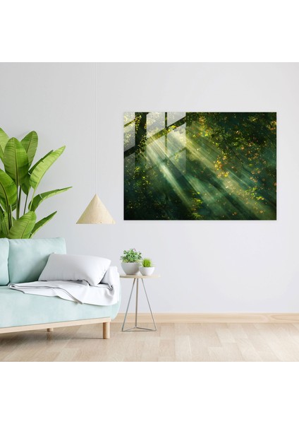 Claude Monet Cam Baskı Ağaçların Arasından Güneş Işığı - Claude Monet, Cam Duvar Sanatı, Cam Sanatı, Modern Sanat, 45X30 fiyatları