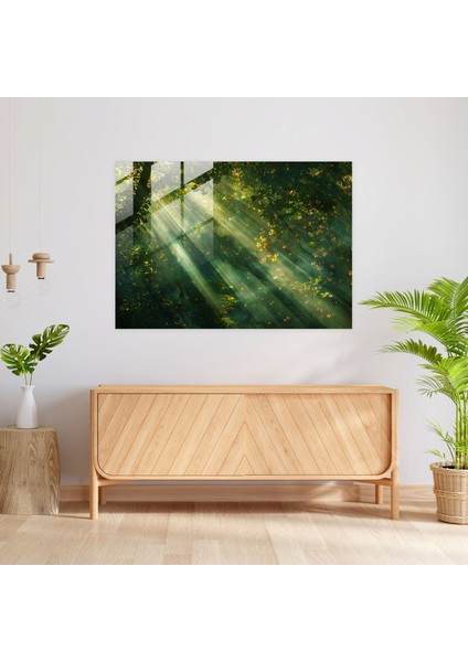 Claude Monet Cam Baskı Ağaçların Arasından Güneş Işığı - Claude Monet, Cam Duvar Sanatı, Cam Sanatı, Modern Sanat, 45X30 modelleri