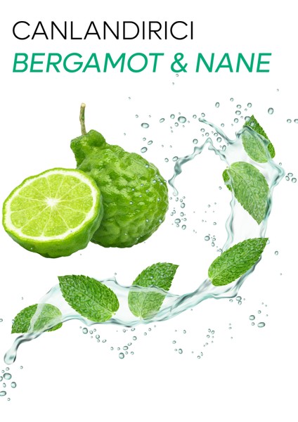 Tiny Green Canlandırıcı Bergamot & Nane Duş Jeli 500 ml