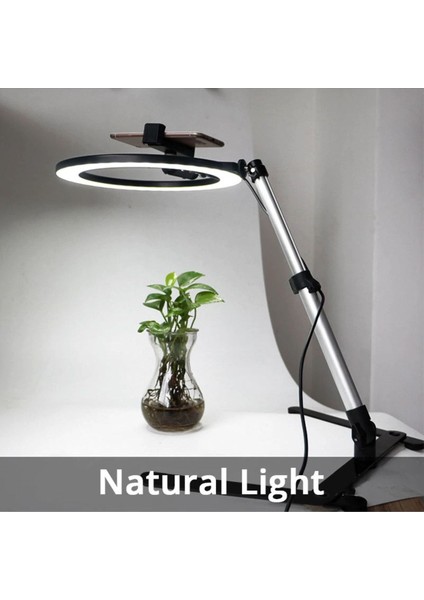 Siyah Masaüstü Ürün Çekim Standı Video ve Fotoğraf Çekimi 10" Ring Light Tripod Selfie Işığı Çekim fiyatları
