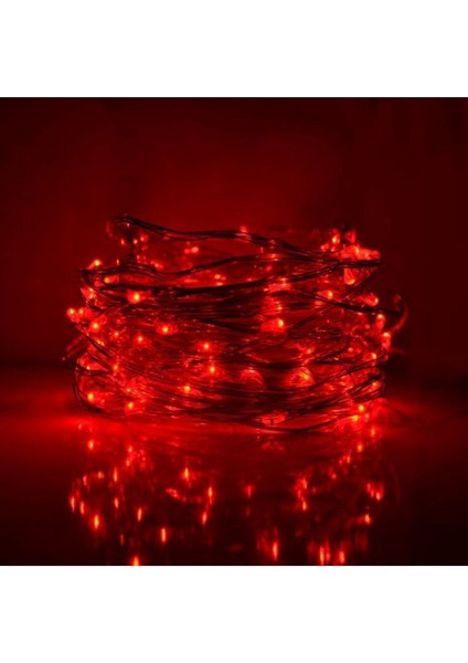 Hidz Peri LED 10 Metre USB Girişli