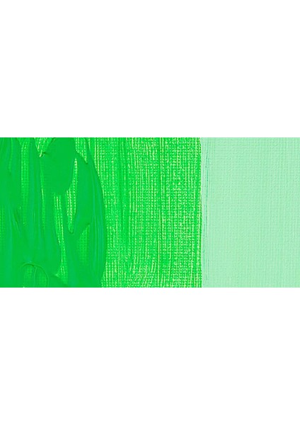 Graduate Akrilik Boya 120ML Leaf Green (355)