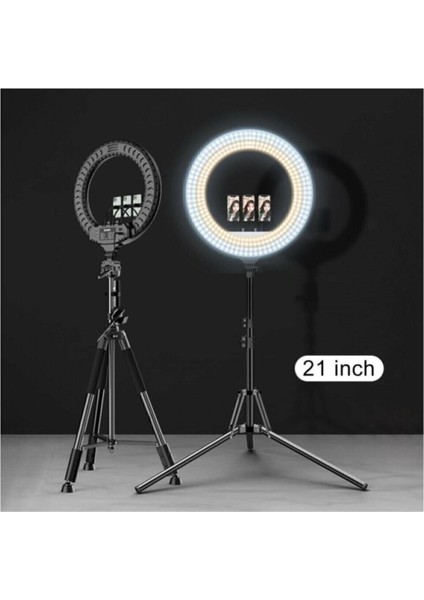 Sabitleyiciler (Tripod) Ring Light LED Işık Halkası 21 Inç 54 cm Profesyonel Stüdyo Işığı ve 210 cm