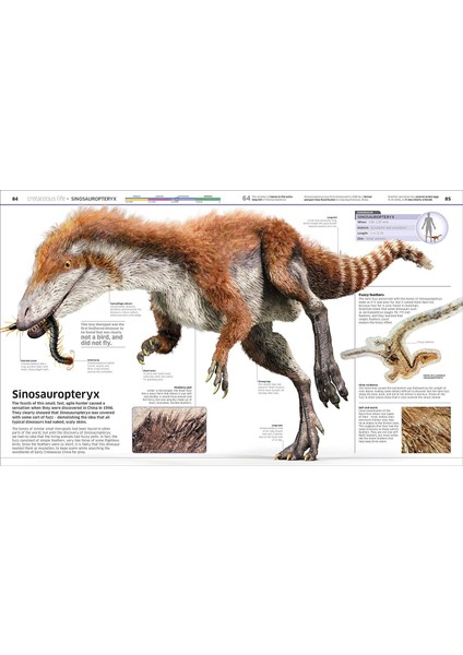 Knowledge Encyclopedia Dinosaur!