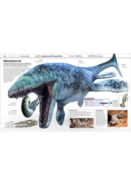 Knowledge Encyclopedia Dinosaur!