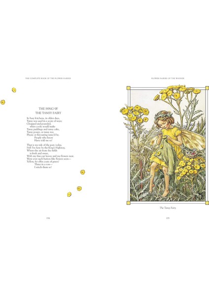 The Complete Book Of The Flower Fairies