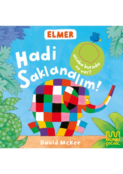 Elmer Kütüphanesi Hadi Saklanalım! - David McKee