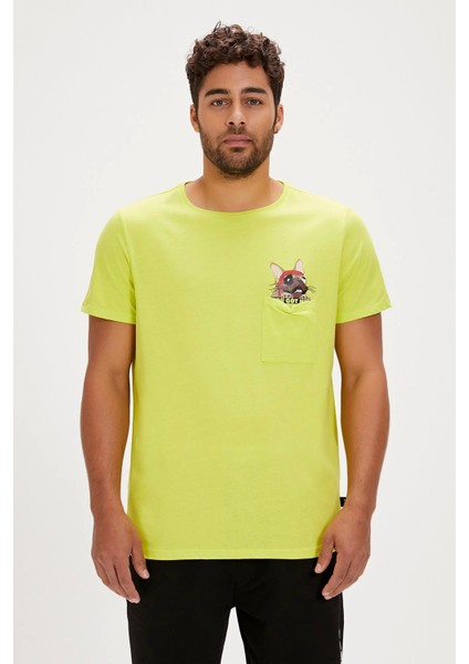 Gotcha Tshirt Sulphur