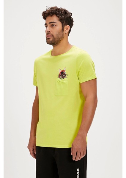 Gotcha Tshirt Sulphur fiyatları
