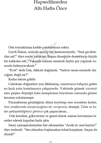 Bir Elfhame Romanı 2 Tutsağın Tahtı - Holly Black