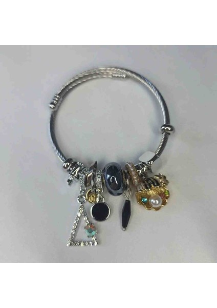 Siyah Istiridye Charmlı Çelik Pandora Model Bileklik