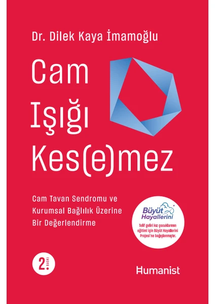 Cam Işığı Kesemez - Dilek Kaya İmamoğlu