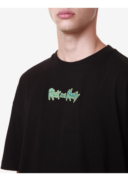 Authentic Marel Warner Bros - Rick And Morty Erkek Siyah Regular Fit Tişört