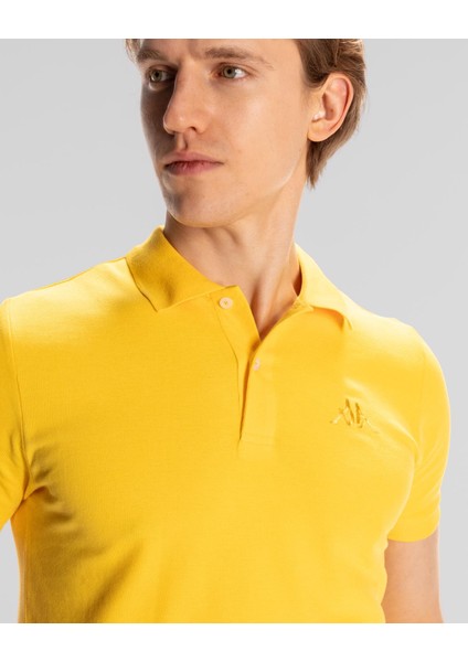 Authentic Ferior Erkek Sarı Regular Fit Polo Tişört modelleri