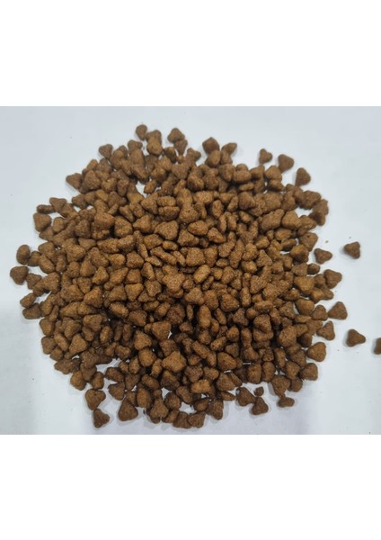 Tavuklu Yavru Kedi Maması 15 kg fiyatları