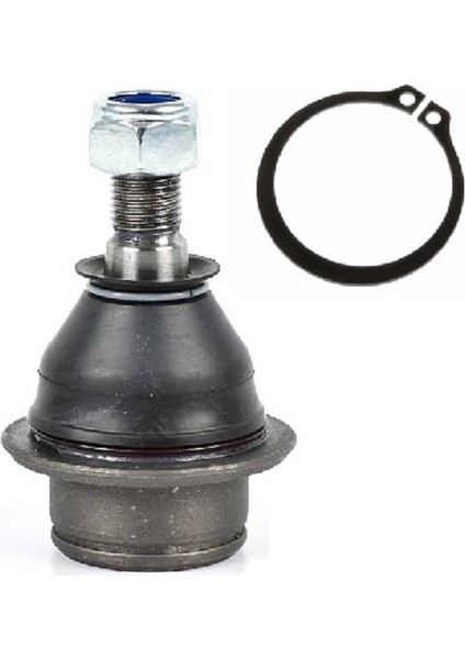 Rotil Tourneo Connect 02+ Transit V184 V185 00-06 Transit V347 V348 06/14 1451914 00409 Orjin