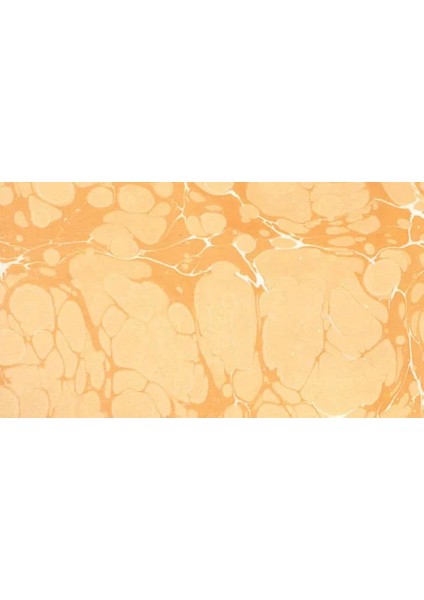 Ebru Boyası Ezilmiş 601 Oksit Sarı 105CC