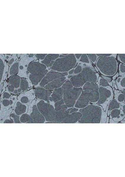 Ebru Boyası Ezilmiş 807 Sedef 105CC