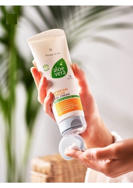 Spf 4 - 20 Aloe Vıa Aloe Vera Güneş Sonrası Serinletici Jel Krem 200 ml 23116-101 Renksiz 151 - 250