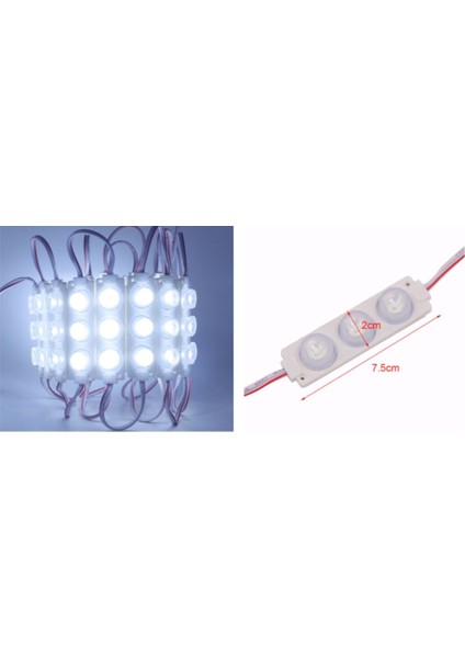 LED Modül Lamba 12V Çift Kubbe