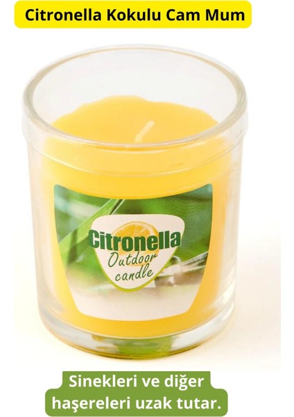 Citronella Bardak Mum 50 gr