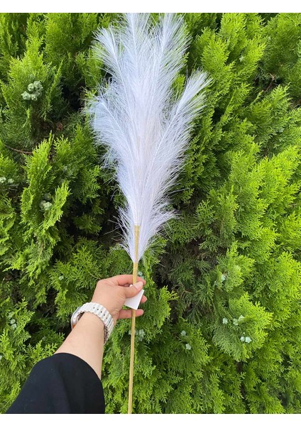Beyaz Pampas Yapay Dal