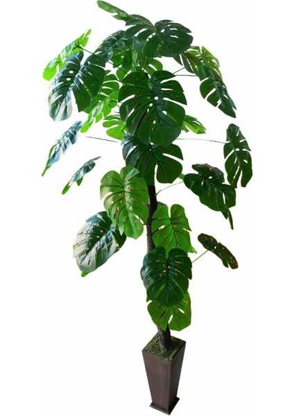 Yapay Monstera Vazoda Devetabanı Ağacı