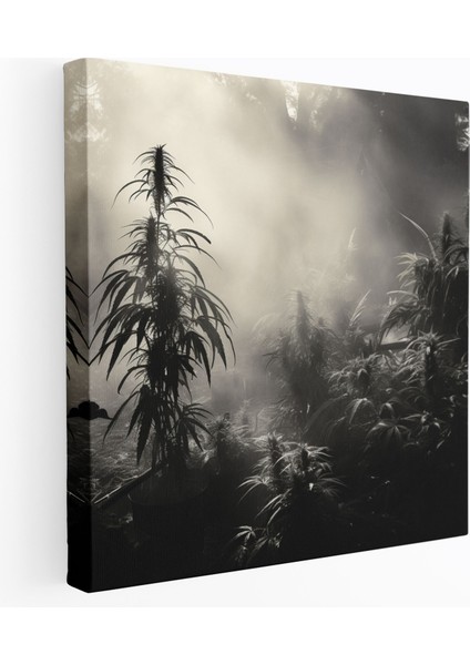 Ot Kanvas Tablo - Ot, Duvar Tablosu, Kenevir Bitkisi, Sisli Sabah Sahnesi, 30 x 30 cm