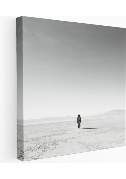 Ay Gezgini Kanvas Tablo, 30 x 30 cm