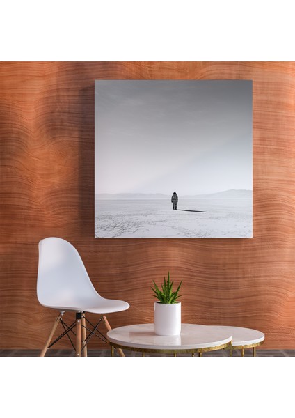 Ay Gezgini Kanvas Tablo, 30 x 30 cm fiyatları