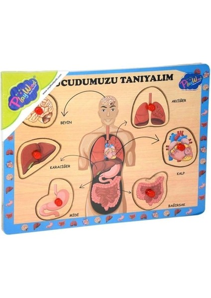 Çocuk Zeka Puzzle Ahşap Oyunları