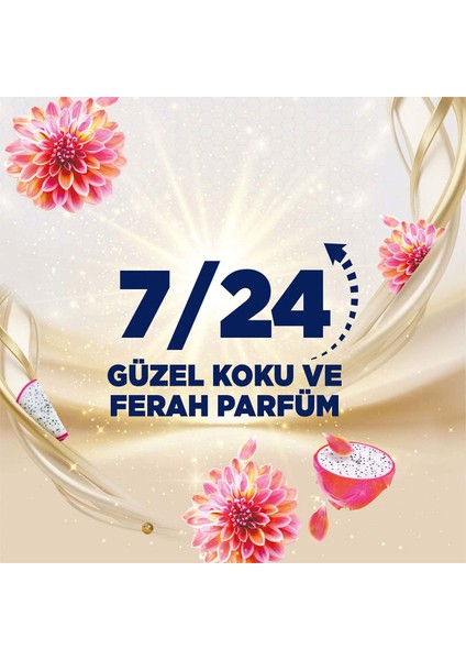 Tuvalet Bloğu Aroma Lux Yıldız Çiçeği & Ejder Meyvesi 100 G + Hibiskus & Kırmızı Meyveler