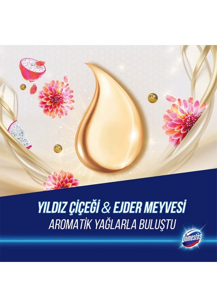 Tuvalet Bloğu Aroma Lux Yıldız Çiçeği & Ejder Meyvesi 100 G + Hibiskus & Kırmızı Meyveler