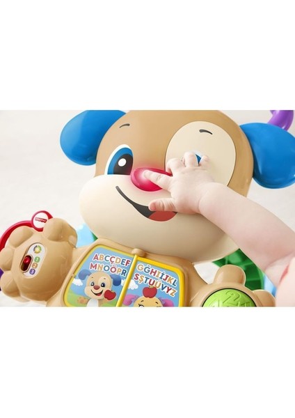 Fisher Price Eğitici Köpekçik Yürüteç (Türkçe) FTG10 fiyatları