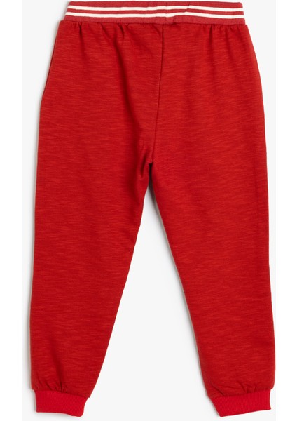 Jogger Eşofman Altı Beli Bağlamalı Pamuklu Şardonlu fiyatları