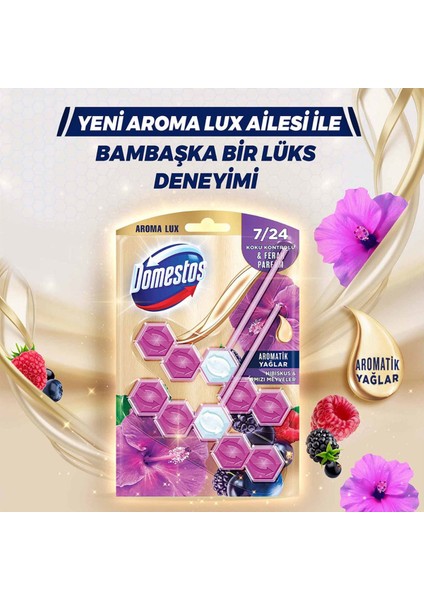 Tuvalet Bloğu Aroma Lux Hibiskus & Kırmızı Meyveler 100 G X2