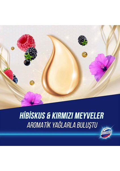 Tuvalet Bloğu Aroma Lux Hibiskus & Kırmızı Meyveler 100 G X2