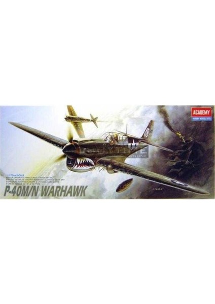 12465 1/72 Ölçek, P-40M/N Warhawk Savaş Uçağı, Plastik Model Kiti