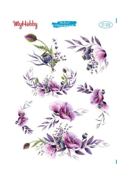 ST-326 Hobi-Sulu Transfer