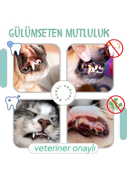 Kedi Ağız Bakım Suyu