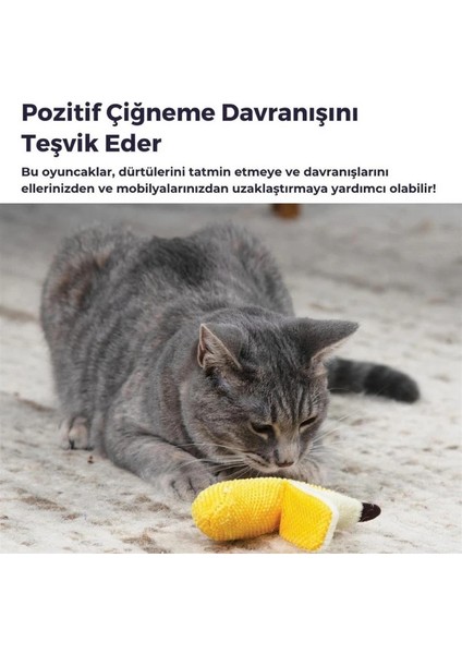 Dental Banana Ağız Bakım Kedi Oyuncağı indirimleri
