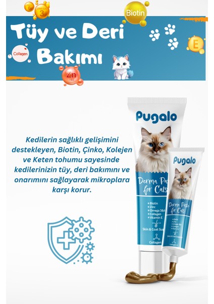 Kedi Derma Paste