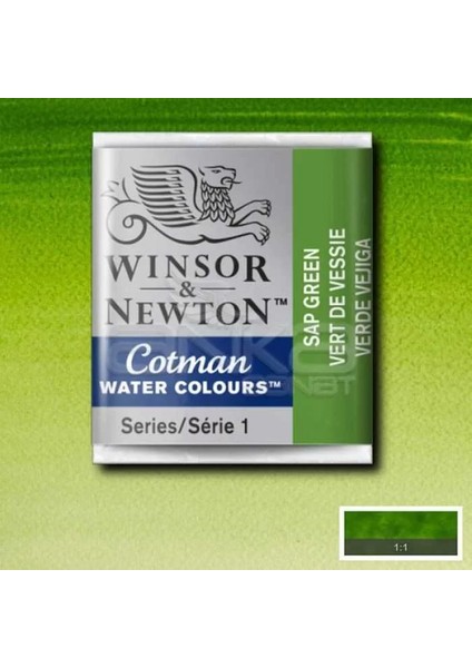 Winsor Newton Tablet Sulu Boya No : 599 Sap Green