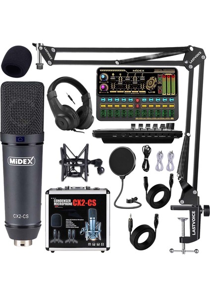 Stüdyo Ekipmanları Private Paket-2 Cx2 Mikrofon VS11 Ses Kartı Stüdyo Kayıt Seti