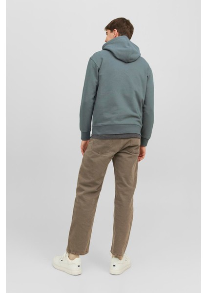 Essentials Jjestar Pamuklu Kapüşonlu Sweat Erkek Sweat 12208157 fiyatları