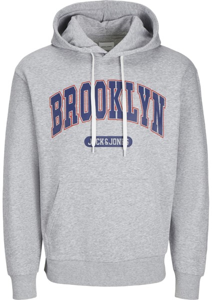 Essentials Jjebradley Kapüşonlu Regular Fit Sweat Erkek Sweat 12270060