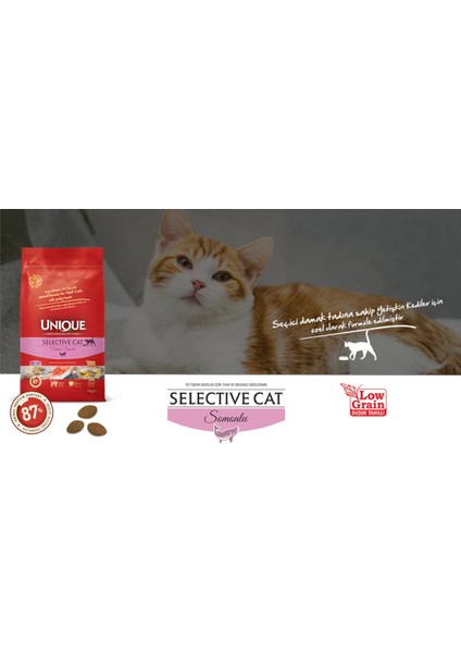 Selective Seçici Yetişkin Kedi Maması Somonlu 2 kg